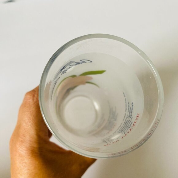 Vintage Celebrity Cruises Floral Frosted Cocktail Glasses - Set of 2 - Picture 10 of 13